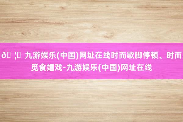 🦄九游娱乐(中国)网址在线时而歇脚停顿、时而觅食嬉戏-九游娱乐(中国)网址在线