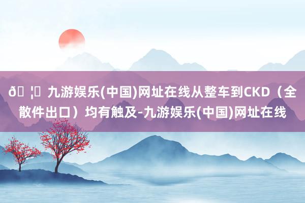 🦄九游娱乐(中国)网址在线从整车到CKD（全散件出口）均有触及-九游娱乐(中国)网址在线