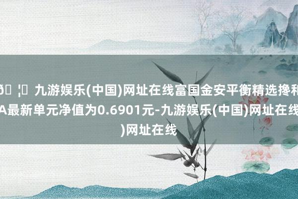🦄九游娱乐(中国)网址在线富国金安平衡精选搀和A最新单元净值为0.6901元-九游娱乐(中国)网址在线