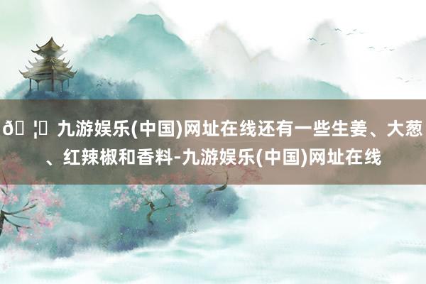 🦄九游娱乐(中国)网址在线还有一些生姜、大葱、红辣椒和香料-九游娱乐(中国)网址在线