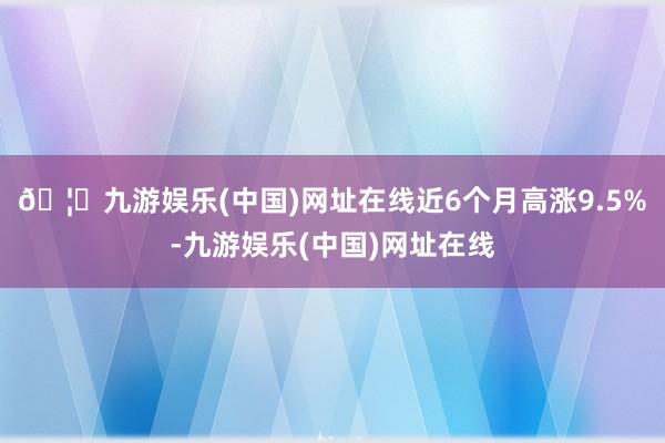 🦄九游娱乐(中国)网址在线近6个月高涨9.5%-九游娱乐(中国)网址在线