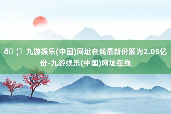 🦄九游娱乐(中国)网址在线最新份额为2.05亿份-九游娱乐(中国)网址在线