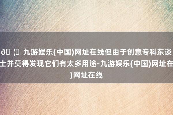 🦄九游娱乐(中国)网址在线但由于创意专科东谈主士并莫得发现它们有太多用途-九游娱乐(中国)网址在线