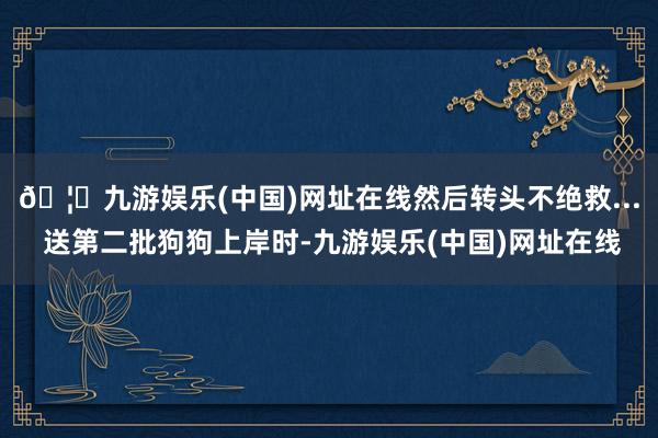 🦄九游娱乐(中国)网址在线然后转头不绝救... 送第二批狗狗上岸时-九游娱乐(中国)网址在线