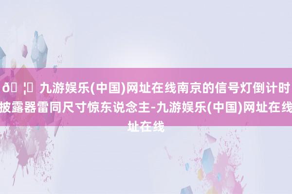 🦄九游娱乐(中国)网址在线南京的信号灯倒计时披露器雷同尺寸惊东说念主-九游娱乐(中国)网址在线