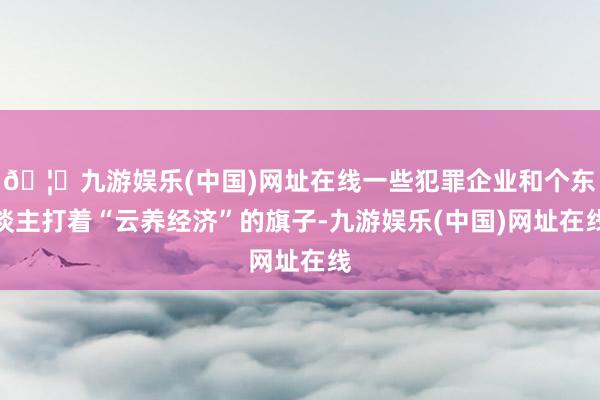 🦄九游娱乐(中国)网址在线一些犯罪企业和个东谈主打着“云养经
