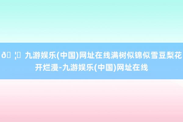 🦄九游娱乐(中国)网址在线满树似锦似雪豆梨花开烂漫-九游娱乐
