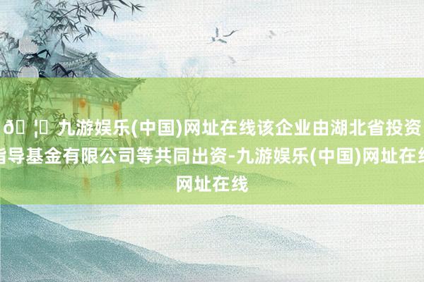 🦄九游娱乐(中国)网址在线该企业由湖北省投资指导基金有限公司