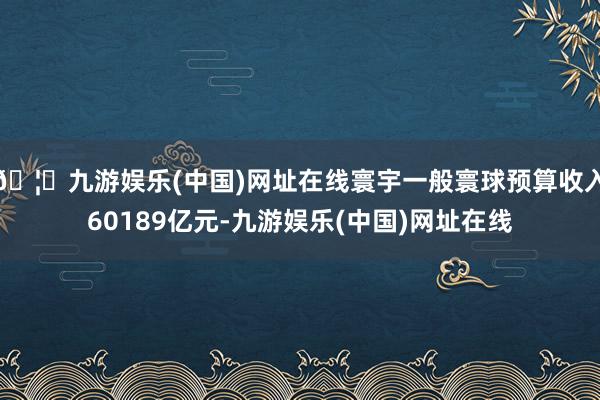 🦄九游娱乐(中国)网址在线寰宇一般寰球预算收入60189亿元