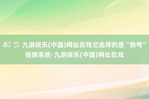 🦄九游娱乐(中国)网址在线它选择的是“铁穹”按捺系统-九游娱
