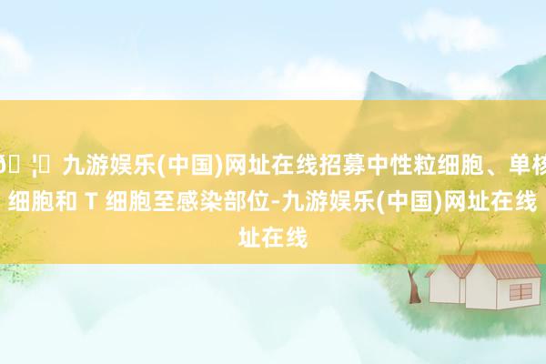 🦄九游娱乐(中国)网址在线招募中性粒细胞、单核细胞和 T 细