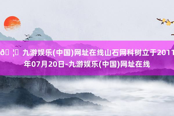 🦄九游娱乐(中国)网址在线山石网科树立于2011年07月20