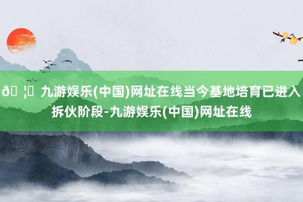 🦄九游娱乐(中国)网址在线当今基地培育已进入拆伙阶段-九游娱