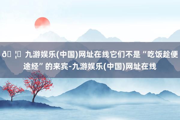 🦄九游娱乐(中国)网址在线它们不是“吃饭趁便途经”的来宾-九
