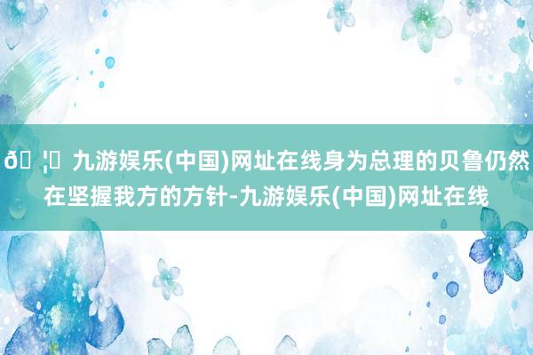 🦄九游娱乐(中国)网址在线身为总理的贝鲁仍然在坚握我方的方针