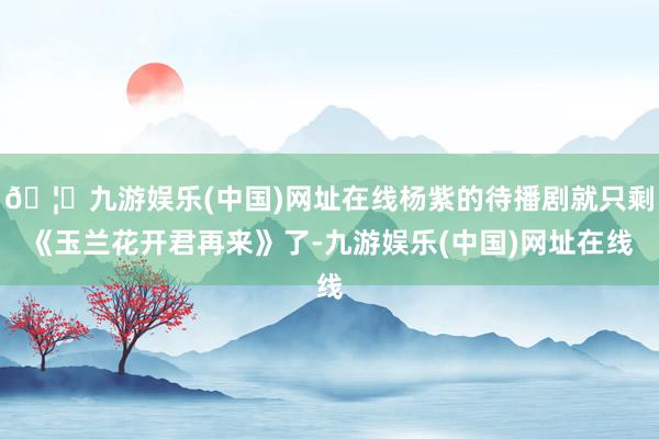 🦄九游娱乐(中国)网址在线杨紫的待播剧就只剩《玉兰花开君再来