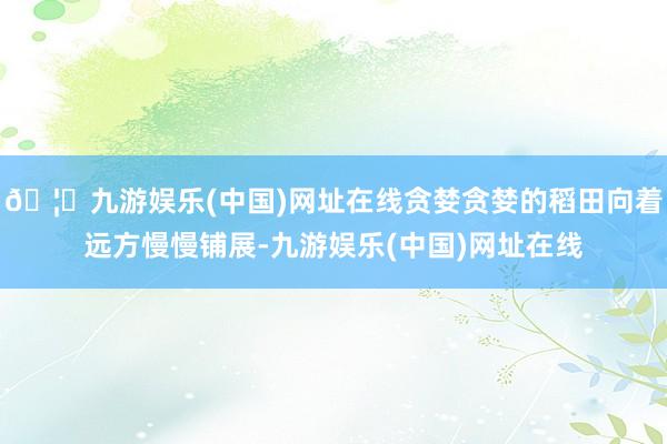 🦄九游娱乐(中国)网址在线贪婪贪婪的稻田向着远方慢慢铺展-九