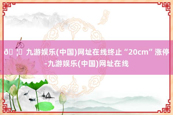 🦄九游娱乐(中国)网址在线终止“20cm”涨停-九游娱乐(中