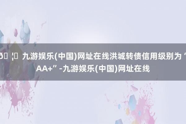 🦄九游娱乐(中国)网址在线洪城转债信用级别为“AA+”-九游