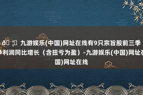 🦄九游娱乐(中国)网址在线有9只宗旨股前三季度净利润同比增长